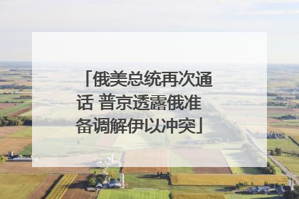 俄美总统再次通话 普京透露俄准备调解伊以冲突