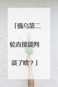 俄乌第二轮直接谈判谈了啥？