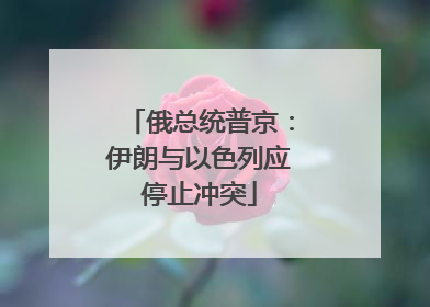 俄总统普京：伊朗与以色列应停止冲突