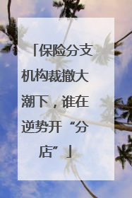 保险分支机构裁撤大潮下，谁在逆势开“分店”