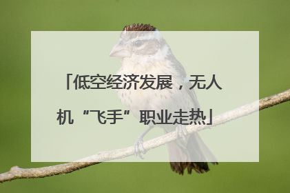 低空经济发展，无人机“飞手”职业走热