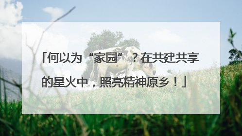 何以为“家园”？在共建共享的星火中，照亮精神原乡！