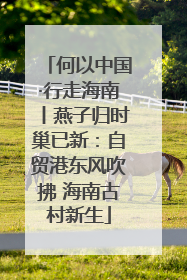 何以中国·行走海南丨燕子归时巢已新：自贸港东风吹拂 海南古村新生