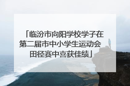 临汾市向阳学校学子在第二届市中小学生运动会田径赛中喜获佳绩