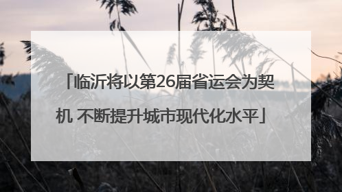 临沂将以第26届省运会为契机 不断提升城市现代化水平