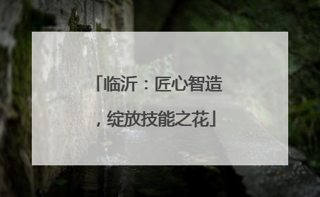 临沂：匠心智造，绽放技能之花