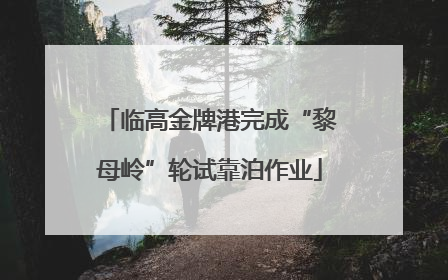 临高金牌港完成“黎母岭”轮试靠泊作业