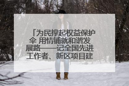 为民撑起权益保护伞 用情铺就和谐发展路——记全国先进工作者、新区项目建设中心干部卢小勇