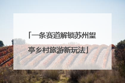 一条赛道解锁苏州望亭乡村旅游新玩法