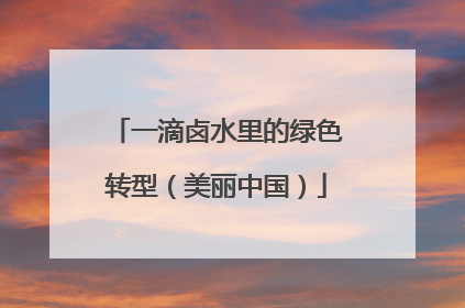 一滴卤水里的绿色转型（美丽中国）