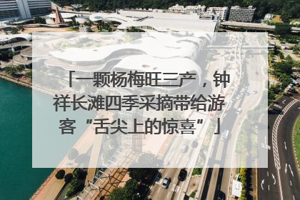 一颗杨梅旺三产，钟祥长滩四季采摘带给游客“舌尖上的惊喜”