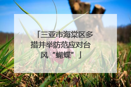 三亚市海棠区多措并举防范应对台风“蝴蝶”
