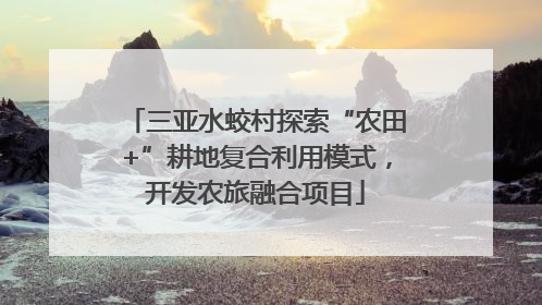 三亚水蛟村探索“农田+”耕地复合利用模式，开发农旅融合项目
