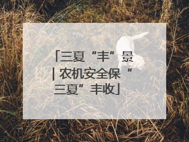 三夏“丰”景｜农机安全保“三夏”丰收