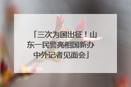 三次为国出征！山东一民警亮相国新办中外记者见面会