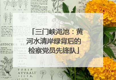 三门峡渑池：黄河水清岸绿背后的检察党员先锋队