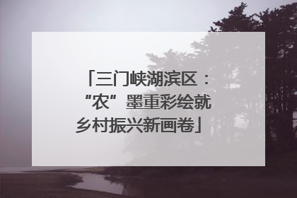 三门峡湖滨区：“农”墨重彩绘就乡村振兴新画卷