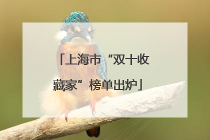 上海市“双十收藏家”榜单出炉
