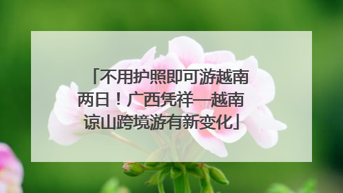 不用护照即可游越南两日！广西凭祥—越南谅山跨境游有新变化