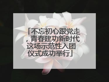 不忘初心跟党走，青春建功新时代 这场示范性入团仪式成功举行