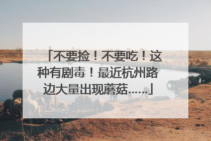 不要捡！不要吃！这种有剧毒！最近杭州路边大量出现蘑菇……