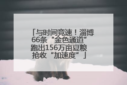 与时间竞速！淄博66条“金色通道”跑出156万亩夏粮抢收“加速度”