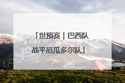 世预赛｜巴西队战平厄瓜多尔队
