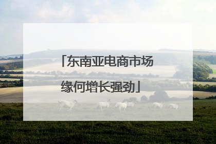 东南亚电商市场缘何增长强劲