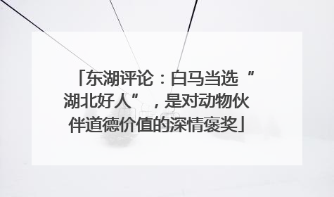 东湖评论：白马当选“湖北好人”，是对动物伙伴道德价值的深情褒奖