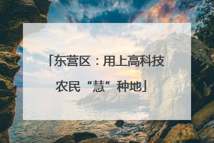 东营区：用上高科技 农民“慧”种地