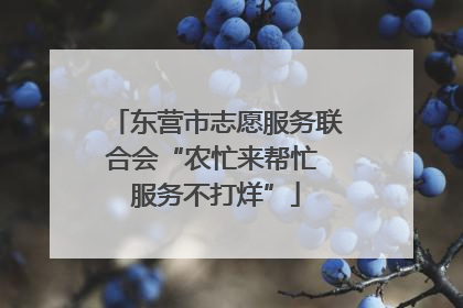 东营市志愿服务联合会“农忙来帮忙 服务不打烊”