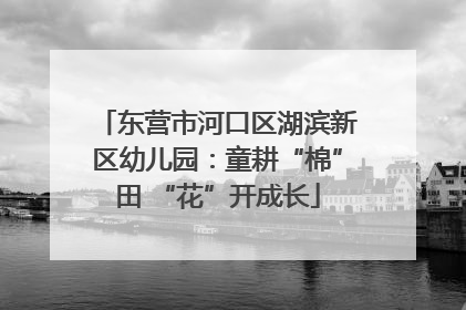 东营市河口区湖滨新区幼儿园：童耕“棉”田 “花”开成长