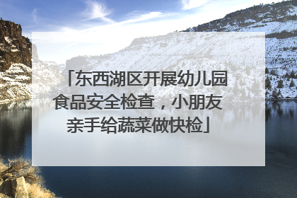 东西湖区开展幼儿园食品安全检查，小朋友亲手给蔬菜做快检
