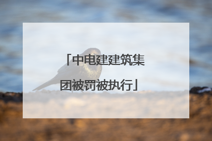 中电建建筑集团被罚被执行
