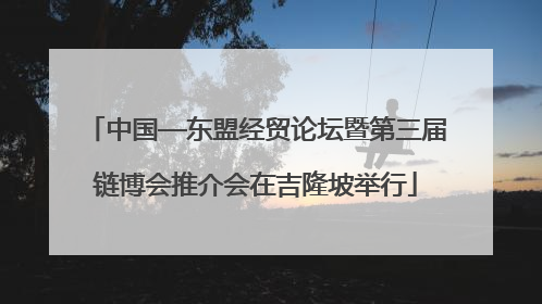 中国—东盟经贸论坛暨第三届链博会推介会在吉隆坡举行