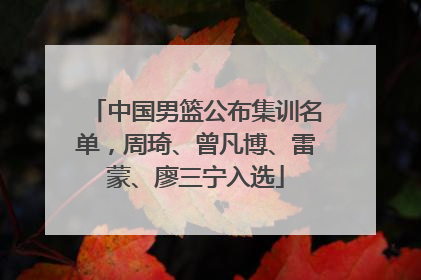 中国男篮公布集训名单，周琦、曾凡博、雷蒙、廖三宁入选