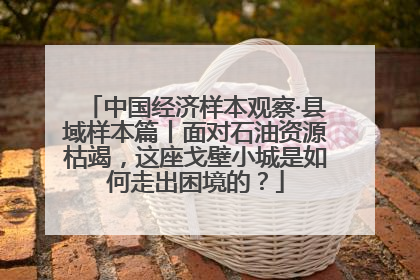 中国经济样本观察·县域样本篇丨面对石油资源枯竭，这座戈壁小城是如何走出困境的？