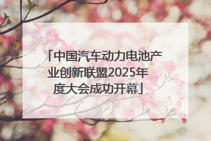 中国汽车动力电池产业创新联盟2025年度大会成功开幕