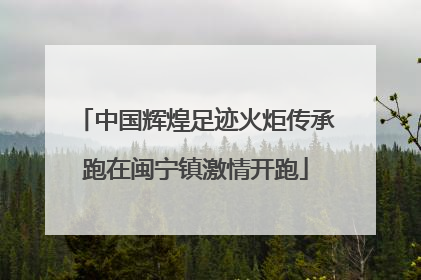 中国辉煌足迹火炬传承跑在闽宁镇激情开跑
