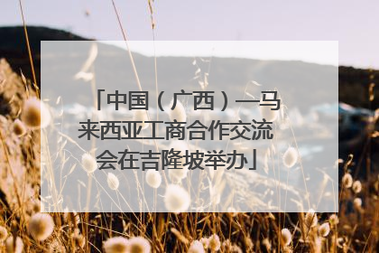 中国（广西）—马来西亚工商合作交流会在吉隆坡举办