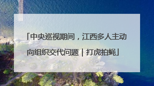 中央巡视期间，江西多人主动向组织交代问题｜打虎拍蝇