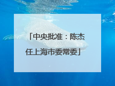 中央批准：陈杰任上海市委常委