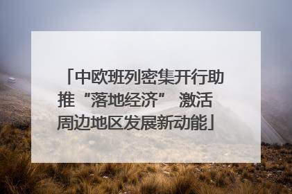 中欧班列密集开行助推“落地经济” 激活周边地区发展新动能