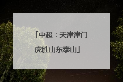 中超：天津津门虎胜山东泰山
