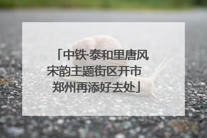 中铁·泰和里唐风宋韵主题街区开市 郑州再添好去处