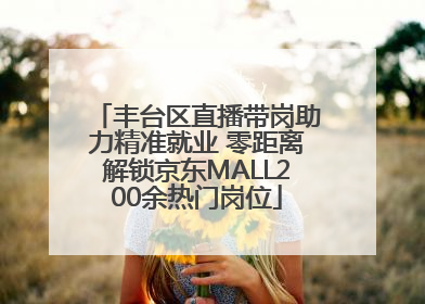 丰台区直播带岗助力精准就业 零距离解锁京东MALL200余热门岗位