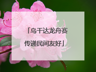 乌干达龙舟赛传递民间友好