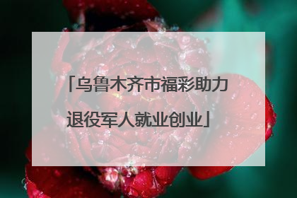 乌鲁木齐市福彩助力退役军人就业创业