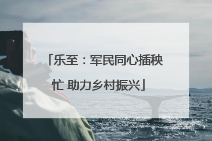乐至：军民同心插秧忙 助力乡村振兴