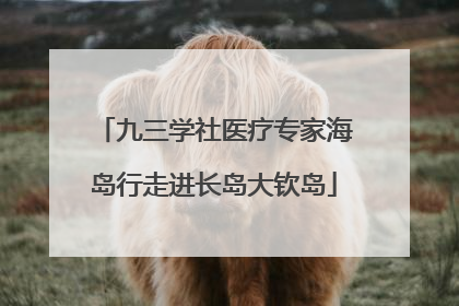 九三学社医疗专家海岛行走进长岛大钦岛